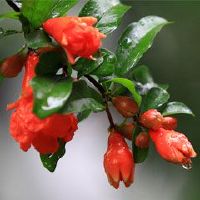 特别嚣张的游戏名字女