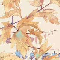 1993年属鸡女一生命运 气运顺畅衣食无忧虑