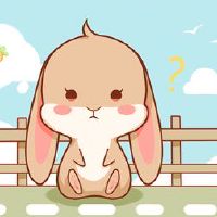 2023年的兔子多大了,出生年出生