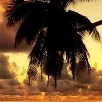 风水吉祥物麒麟的含义是什么?