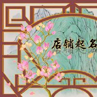 杂货店名称独特的八度曲童可以使用星名称