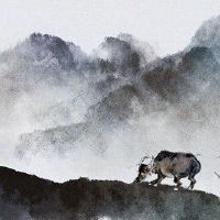 2022年5月属牛人事业运势分析 端正态度等待时机