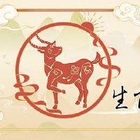 这是3月2日生日3月2日儿童和女孩的特征。