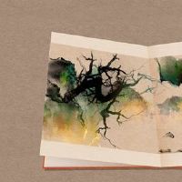 如何将公司的英文名称