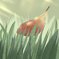 夏天的传统食物是什么?