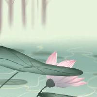 你可以在2022年在热量下发型吗?注意这些