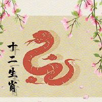 2023年12月蛇的月度工作分析