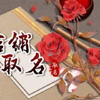 玩具店采取最新的旅行玩具商店名称