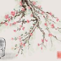 2023黄道带夫人幸运数字幸运的颜色幸运日