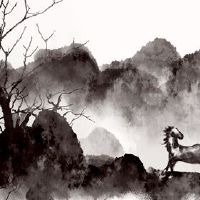 这匹马是2022年,多岁是2022年龄的年龄。