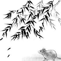 1996年属鼠人适合的楼层 顺着运势做选择