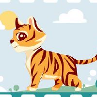 那些是老虎人的人,以及在多年来应该重视什么