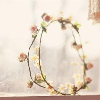 你可以得到射手的爱,你真的很开心。