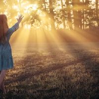 面对混乱,我该怎么做12个星座?