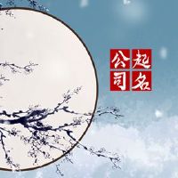 咨询公司的名称是什么?