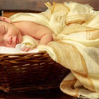 2022年火节出生的二进制义名称免费参考