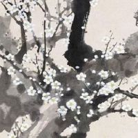 虎年夏至出生的男孩子命好吗 事业通达 家庭幸福