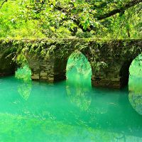 女王2022,2022年6月23日,《月历》的几天