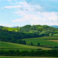 Is it Huang Dao Ji Japan on May 17, 2022?