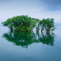 5月22日,2022年有吉野日吗?