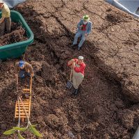 它适合于2022年4月21日开始吗?