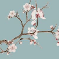 2022年7月28日出生的属虎女宝宝生辰八字性格详解