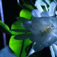 2022年5月的答案