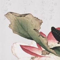 天生凤凰命的四大星座女 人缘旺盛的这个星座必须上榜