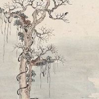 2022年8月27日出生的男孩是什么命 聪明独立 晚运安泰