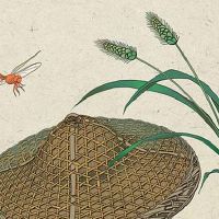 看耳朵面相算命图解 最全耳型看运势