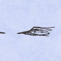 什么样的眉毛福气好 运势当头福气满满