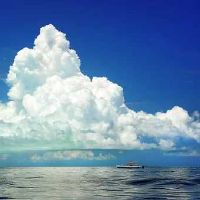 2022年是什么年,2022壬寅虎年是什么命