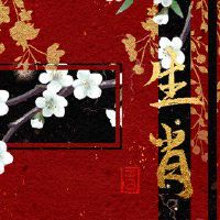 黄道十二宫虎或十二生肖猴子是什么?