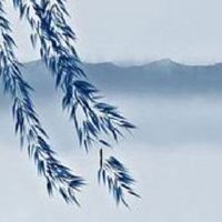 2022年9月19日出生属虎男孩五行缺什么,是什么命