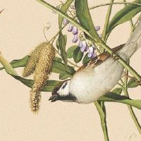 民俗十大公墓风水知识