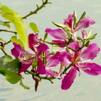 喜欢默默地忍受一切假装坚强的星座