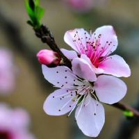 玄空风水排盘方法步骤