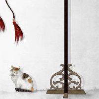 2022年农历九月十五办婚礼好吗 是不是结婚好日子