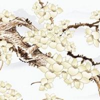 家里一进门摆放什么好 绿植适合摆放在家里吗