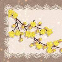 鲜花店取什么名字大全 唯美浪漫的名字