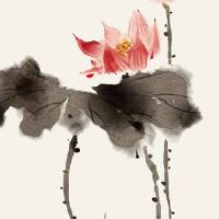 取店名生意红火名大全免费 吉利好听店面起名