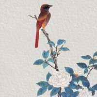 女人十大富贵面相特征 一生平稳无灾无难