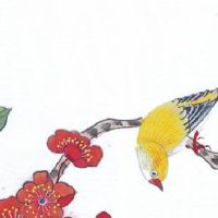 没有耳垂但命又好的人 没耳垂就是没福气吗