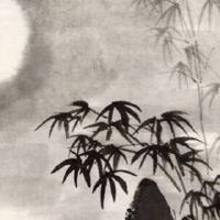 手机尾号888 热门有价值的手机尾号