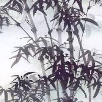 中午婚礼结束后下午做什么 新娘新郎可以休整补觉