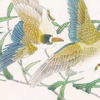 女人有财运的手机号什么号码最好 好运添财的手机号