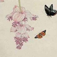 数字能量31和13哪个好 转运发财的手机号码