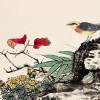 偏财格女命婚姻很差吗 与七杀格男命相配婚姻和睦