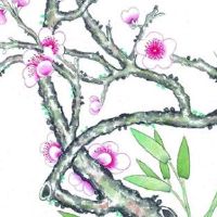 女命大富大贵的紫微命格 权财双全命运富贵