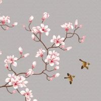 千万要小心这几个星座,看似柔弱实则最有心机!